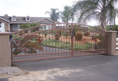 Bird of Paradise Gate